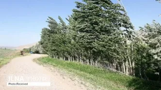 تداوم  وزش باد در نیمه شرقی کشور طی ۵ روز آینده