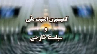 جزئیات طرح الزام دولت به تعلیق همکاری با آژانس تصویب شد