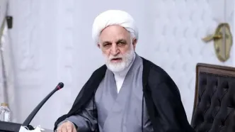 خائنان به وطن، خیلی سریع مجازات می‌شوند