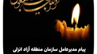 پیام مدیرعامل سازمان منطقه آزاد انزلی در پی اقدام تروریستی رژیم صهیونیستی