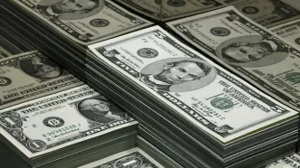 صعود آرام قیمت دلار آمریکا و یورو دولتی امروز ۲۲ خرداد ۱۴۰۴