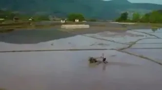 تصاویر فوق العاده زیبایِ هوایی از مازندران و ساری در چهارفصل از سال