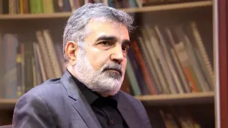 شرایط و جزئیات همکاری  ایران با آژانس/ تعویض سوخت نیروگاه اتمی بوشهر