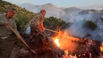 آتش‌سوزی‌ پارک ملی گلستان سرانجام مهار شد