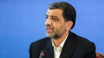 عزت‌الله ضرغامی: تندروها نان‌شان در دعواست