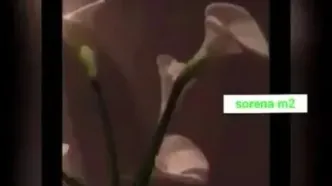 فیلم آوازخوانی شکوهمند بهنوش طباطبایی با آهنگ گوگوش/ در تمام طول راه با منه عاشق ترین هم صدا بودی عزیز