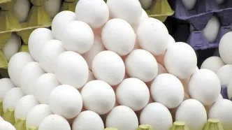عرضه تخم‌مرغ بالاتر از ۵ هزار و ۵۰۰ تومان گرانفروشی است