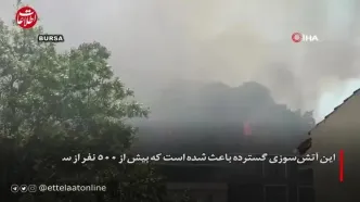 ببینید؛ تصاویر هولناک از آتش‌سوزی گسترده در جنگل‌های ترکیه