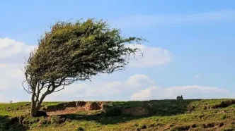 وزش باد شدید و رگبار در انتظار برخی استان‌ها
