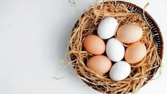 زرده تخم مرغ برای سالمندان مضر است؟