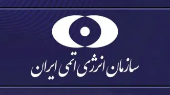 سازمان انرژی اتمی: حمله به نطنز بدون تلفات جانی بود
