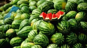 با این خوراکی‌ها به جنگ گرمازدگی بروید