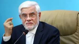 دیدار نخست وزیر روسیه با محمدرضا عارف