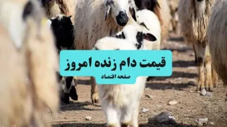 اعلام قیمت جدید دام زنده امروز شنبه ۷ تیر ۱۴۰۴ | هر کیلو گوسفند زنده چند؟