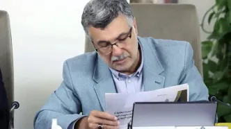 وزیر بهداشت: وارد چاله جمعیتی شدیم