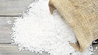 بازار برنج به تعادل نزدیک می‌شود؟