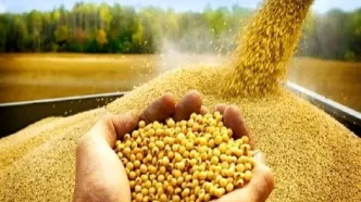 شروع واردات ۲ محصول مهم از ۳۰ تیر و ۴ مرداد