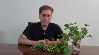 قیمت طلا، قیمت سکه، قیمت دلار امروز یکشنبه ۸ تیر ۱۴۰۴ + ویدئو
