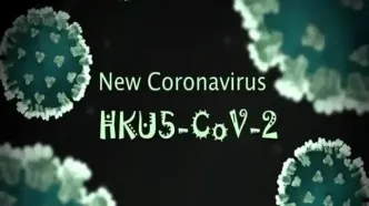 کرونا ویروس HKU5-CoV2؛ یک قدم تا اپیدمی جدید؟ نقش خفاش‌ها چیست؟