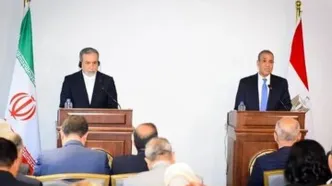 روایت یک روزنامه سعودی از سفر عراقچی به مصر