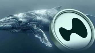 هایپرلیکویید با حمایت نهنگ‌ها رکورد زد! قیمت HYPE تا کجا اوج می‌گیرد؟