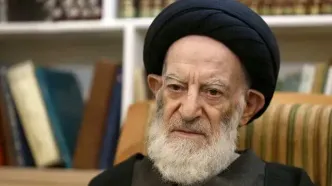 واکنش آیت الله شبیری زنجانی به حمله اسرائیل به ایران