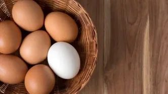 مصرف زرده تخم مرغ برای کهنسالان مضر است؟