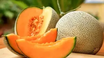 آیا «ملون» تراریخته و مضر برای سلامتی است؟