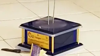 دزد  ناشی به  کاهدان نزد