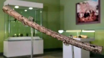 نمایش فلوت استخوانی ۸ هزار ساله در موزه ملی