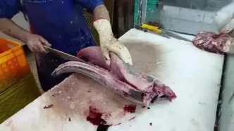 ببینید؛ فرآیند برش زدن و فیله کردن ماهی امبرجک به روش یک ماهی فروش ماهر