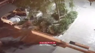گوشی‌قاپی از نوجوان ١٣ ساله در تهرانپارس