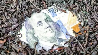 آخرین وضعیت پرونده چای دبش