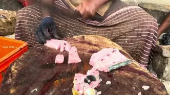 ببینید؛ نحوه برش زطدن ماهرانه ماهی تراولی غول پیکر توسط ماهی فروش هندی