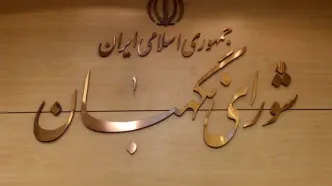 طرح تشدید مجازات جاسوسی به مجلس بازگشت