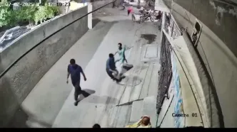 ببینید؛ حمله شیر به یک زن و چند کودک در پاکستان