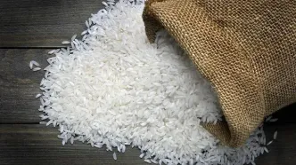 یک میلیون تن برنج گم شده است/ ویدئو