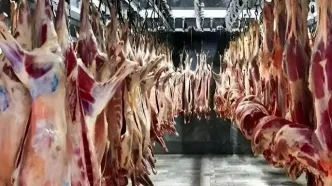 قیمت گوشت گوسفندی و گوساله امروز جمعه 3 مرداد