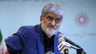 سه شرط ایران برای مذاکره با آمریکا از زبان علی مطهری