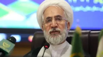 دادستان کل کشور: اظهارنظر درباره «حجاب» از شئون فقهاست/ افراد جاهل اظهارنظر نکنند