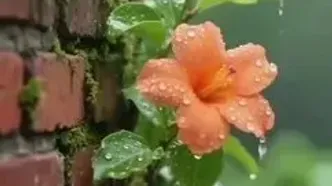 فال و طالع بینی روزانه 2 مرداد