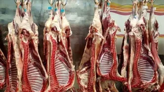 یک شرکت‌ خاص، عامل گرانیِ گوشت و لبنیات شد