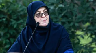 سخنگوی دولت: دولت به‌دنبال محدودسازی اینترنت نیست