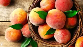 میوه محبوب ایرانی‌ها، زیر تیغ تعرفه‌ای ترامپ