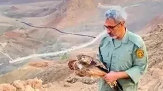 ببینید؛ رهاسازی "عقاب شاهی" در آسمان سمنان