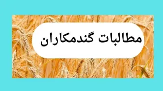 تأخیر در پرداخت مطالبات گندمکاران؛ تهدیدی برای امنیت غذایی و کشاورزی ایران | توجیهی برای تأخیر در پرداخت وجود ندارد