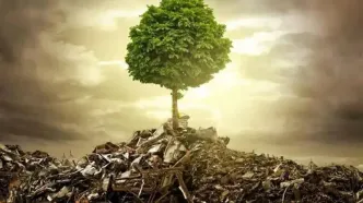 زمین‌کُشی؛ چهره خاموش جنگ