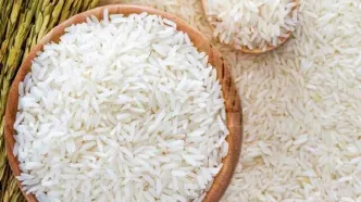 قیمت برنج ایرانی تا دو هفته آینده چقدر خواهد شد؟