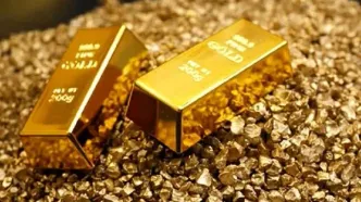 شفافیت پشت درهای بسته؟ / مطالبه کسب‌وکارها: مجوزها را از تعلیق خارج کنید