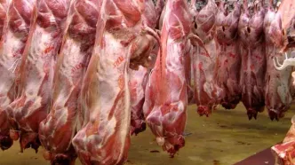 جریمه میلیاردی برای قصاب تهرانی
